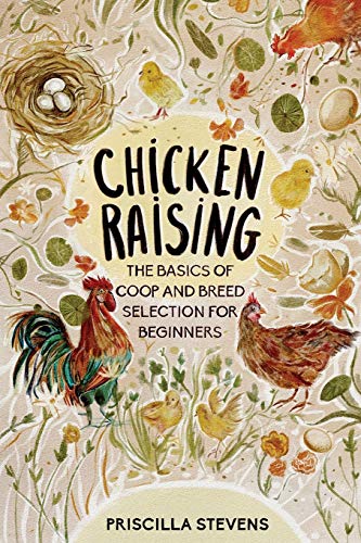 Chicken Raising