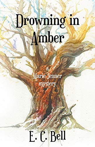 Droning In Amber [Paperback]