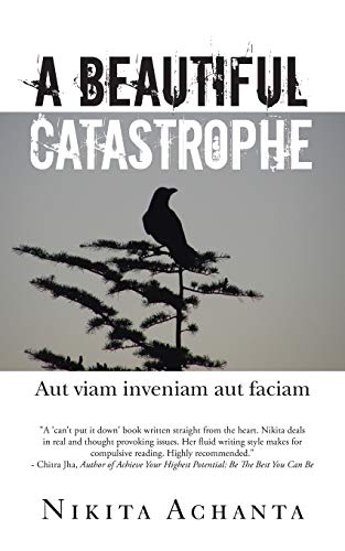 A Beautiful Catastrophe Aut Viam Inveniam Aut Faciam [Paperback]