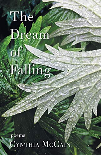 Dream of Falling [Paperback]