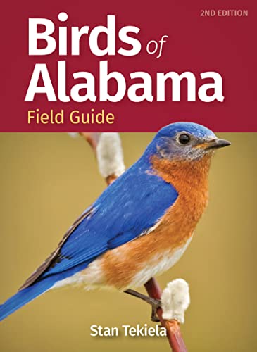 Birds of Alabama Field Guide [Paperback]