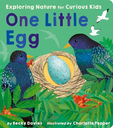 One Little Egg: Exploring Nature for Curious Kids [Board book]