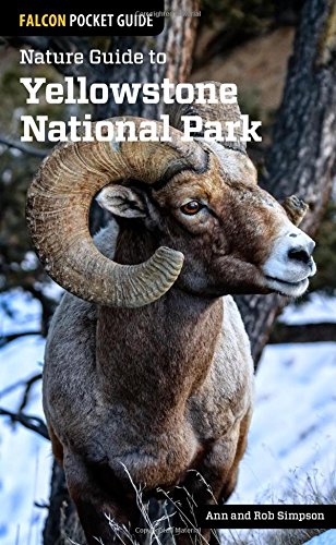 Nature Guide to Yellowstone National Park [Paperback]