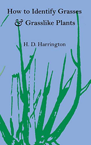 Ho to Identify Grasses and Grasslike Plants Sedges and Rushes [Paperback]