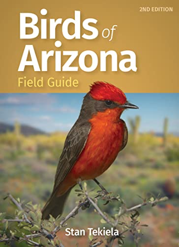 Birds of Arizona Field Guide [Paperback]