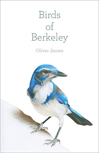 Birds of Berkeley [Paperback]