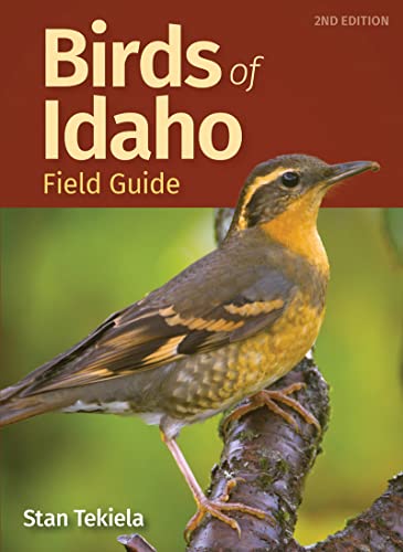 Birds of Idaho Field Guide [Paperback]