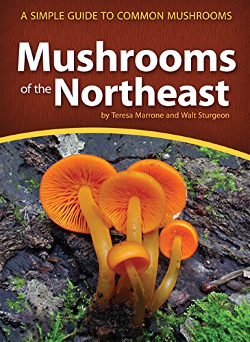 Mushrooms of the Northeast: A Simple Guide to Common Mushrooms [Paperback]