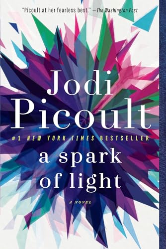 A Spark of Light: A Novel [Paperback]