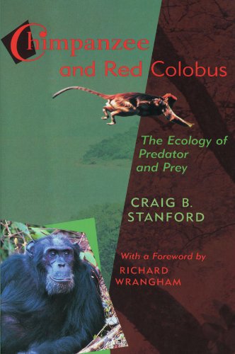 Chimpanzee and Red Colobus The Ecology of Predator and Prey [Paperback]