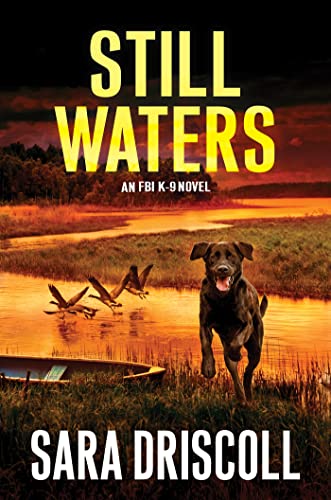 Still Waters: A Riveting Novel of Suspense [Hardcover]