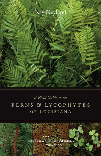 A Field Guide To The Ferns And Lycophytes Of Louisiana [Paperback]