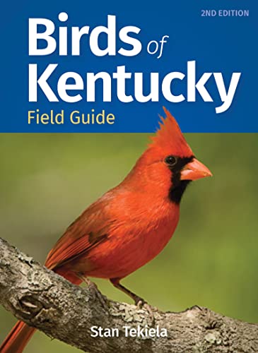 Birds of Kentucky Field Guide [Paperback]