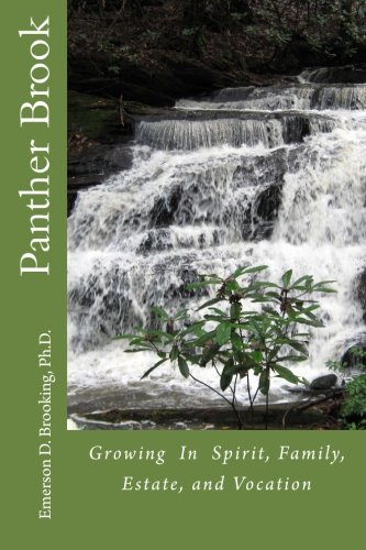 Panther Brook Groing In Spirit, Family, Estate, And Vocation [Paperback]