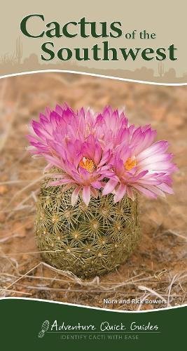 Cactus of the Southwest [Spiral bound]