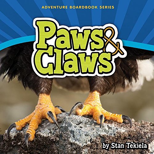 Paws & Claws [Board book]