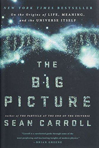 The Big Picture: On the Origins of Life, Meaning, and the Universe Itself [Hardcover]