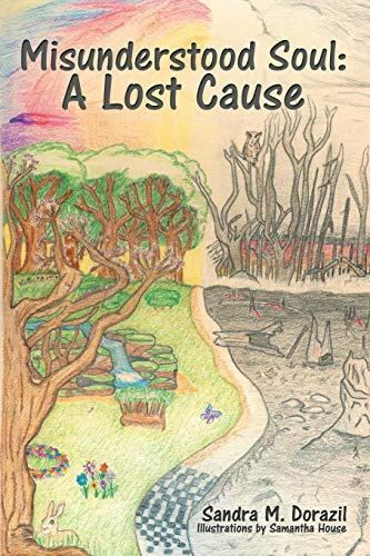 Misunderstood Soul A Lost Cause [Paperback]