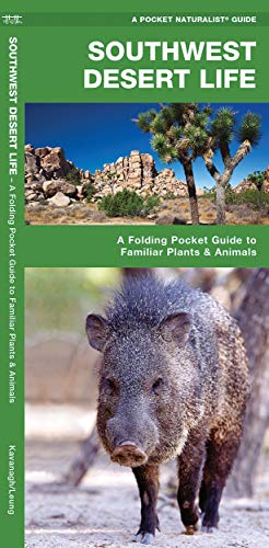 Southwest Desert Life: A Folding Pocket Guide to Familiar Plants & Animals [Pamphlet]