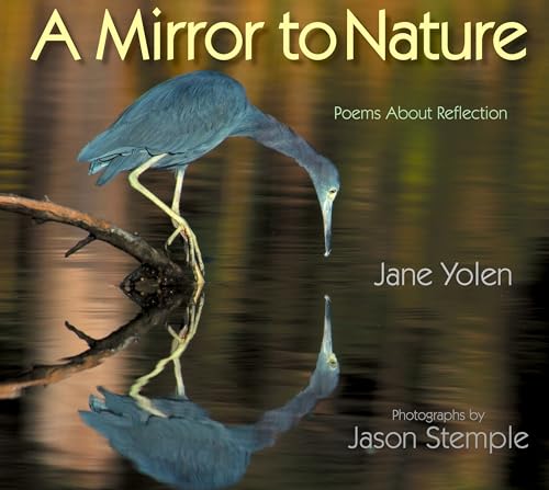 A Mirror to Nature: Poems about Reflection [Paperback]