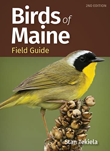 Birds of Maine Field Guide [Paperback]