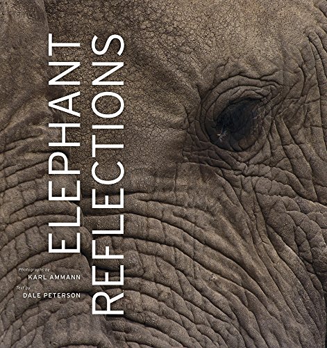 Elephant Reflections [Hardcover]