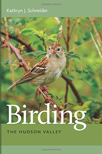 Birding the Hudson Valley [Paperback]