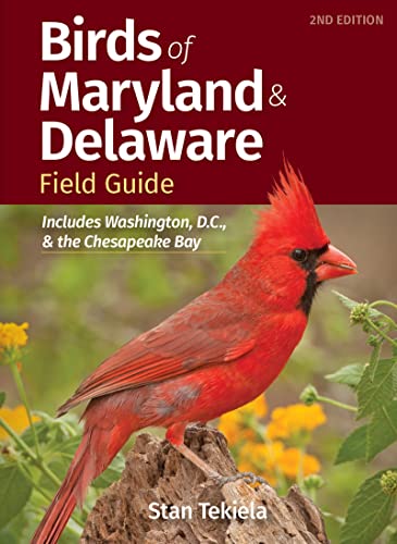 Birds of Maryland & Delaware Field Guide: Includes Washington, D.C., & t [Paperback]