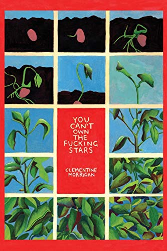 You Can't On the Fucking Stars  Collected Writings on Trauma, Addiction, Recov [Paperback]