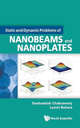 Static And Dynamic Problems Of Nanobeams And Nanoplates [Hardcover]