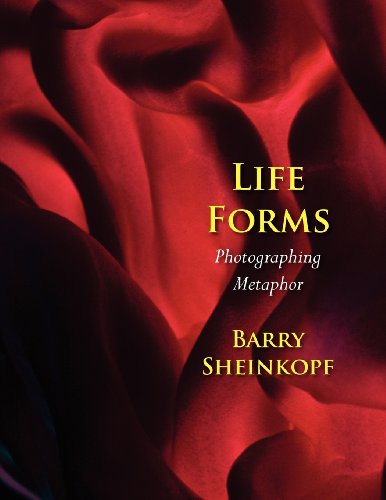 Life Forms Photographing Metaphor [Paperback]