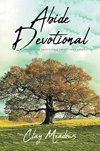 Abide Devotional  40 Days to Abounding Freedom in Christ [Paperback]