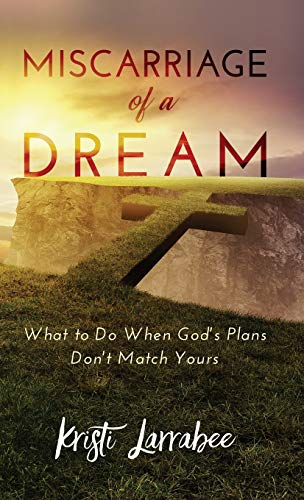 Miscarriage of a Dream  What to Do When God's Plans Don't Match Yours [Hardcover]