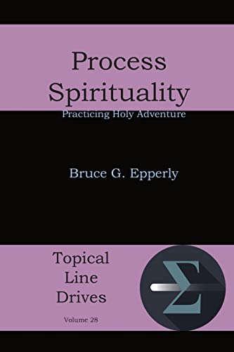 Process Spirituality Practicing Holy Adventure (topical Line Drives) [Paperback]