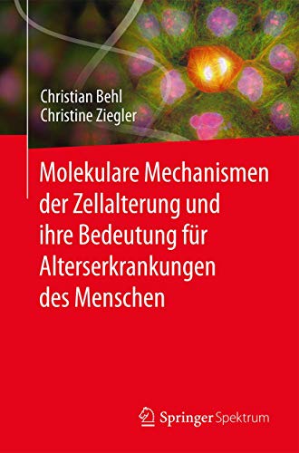 Molekulare Mechanismen der Zellalterung und ihre Bedeutung fr Alterserkrankunge [Paperback]