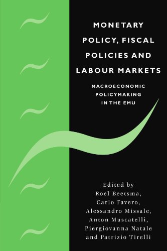 Monetary Policy, Fiscal Policies and Labour Markets Macroeconomic Policymaking  [Paperback]