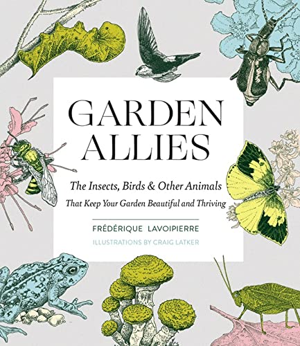 Garden Allies: The Insects, Birds, and Other Animals That Keep Your Garden Beaut [Paperback]