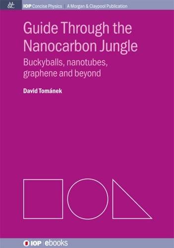 Guide Through The Nanocarbon Jungle Buckyballs, Nanotubes, Graphene And Beyond [Paperback]