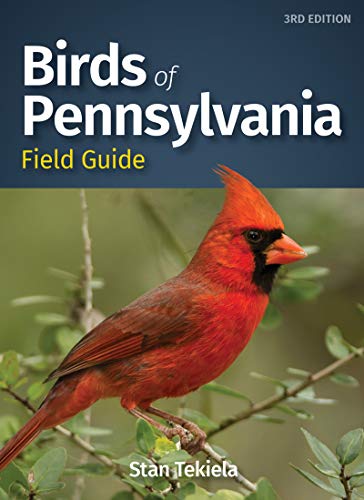 Birds of Pennsylvania Field Guide [Paperback]