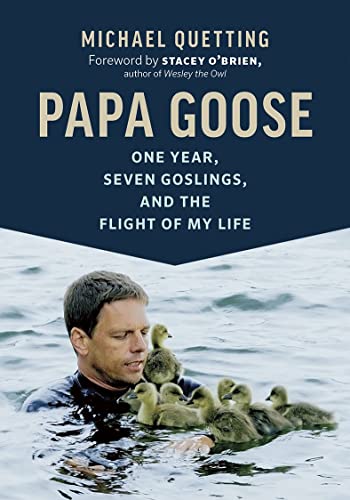 Papa Goose: One Year, Seven Goslings, and the Flight of My Life [Paperback]