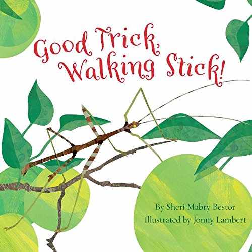 Good Trick Walking Stick [Paperback]