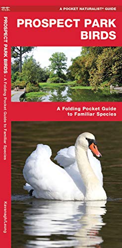 Prospect Park Birds: A Folding Pocket Guide to Familiar Species [Pamphlet]