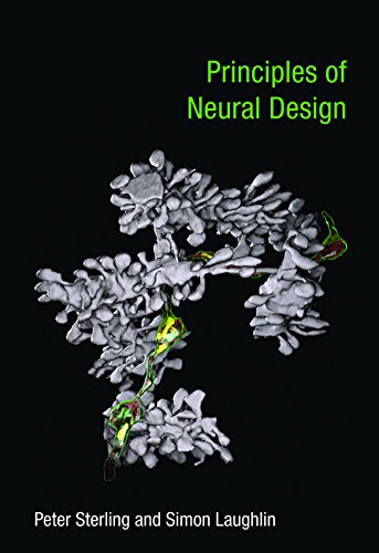 Principles of Neural Design [Paperback]