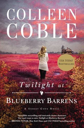 Tilight at Blueberry Barrens [Paperback]