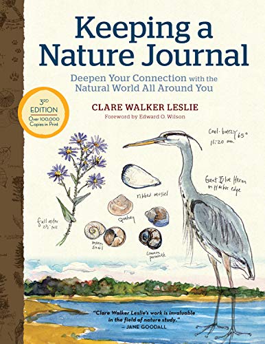 Keeping A Nature Journal E03             [TRA