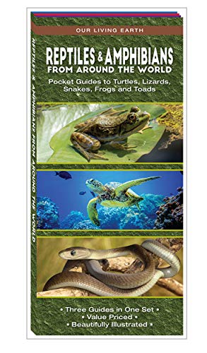 Reptiles & Amphibians From Around the World: Pocket Guides to Turtles, Lizar [Pamphlet]