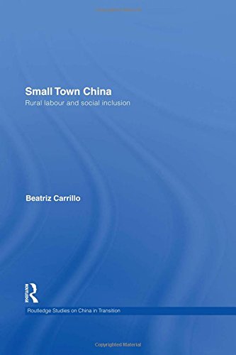 Small Ton China Rural Labour and Social Inclusion [Hardcover]