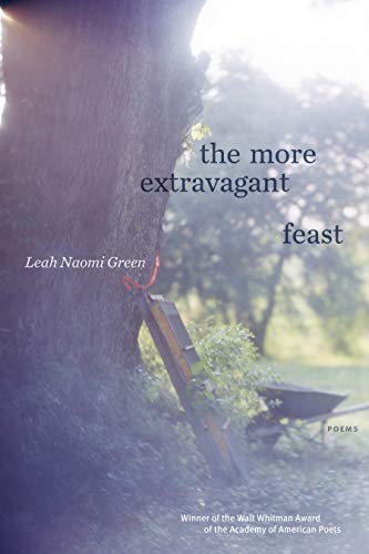 The More Extravagant Feast: Poems [Paperback]