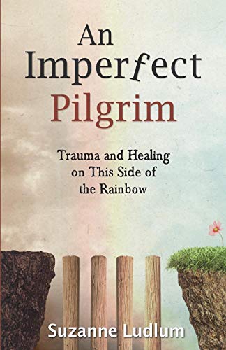 An Imperfect Pilgrim [Paperback]