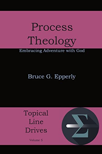 Process Theology Embracing Adventure With God [Paperback]